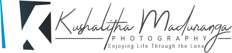 Kushalitha Maduranga Photography | Portrait Family Landscape & Drone Photographer | New Zealand
